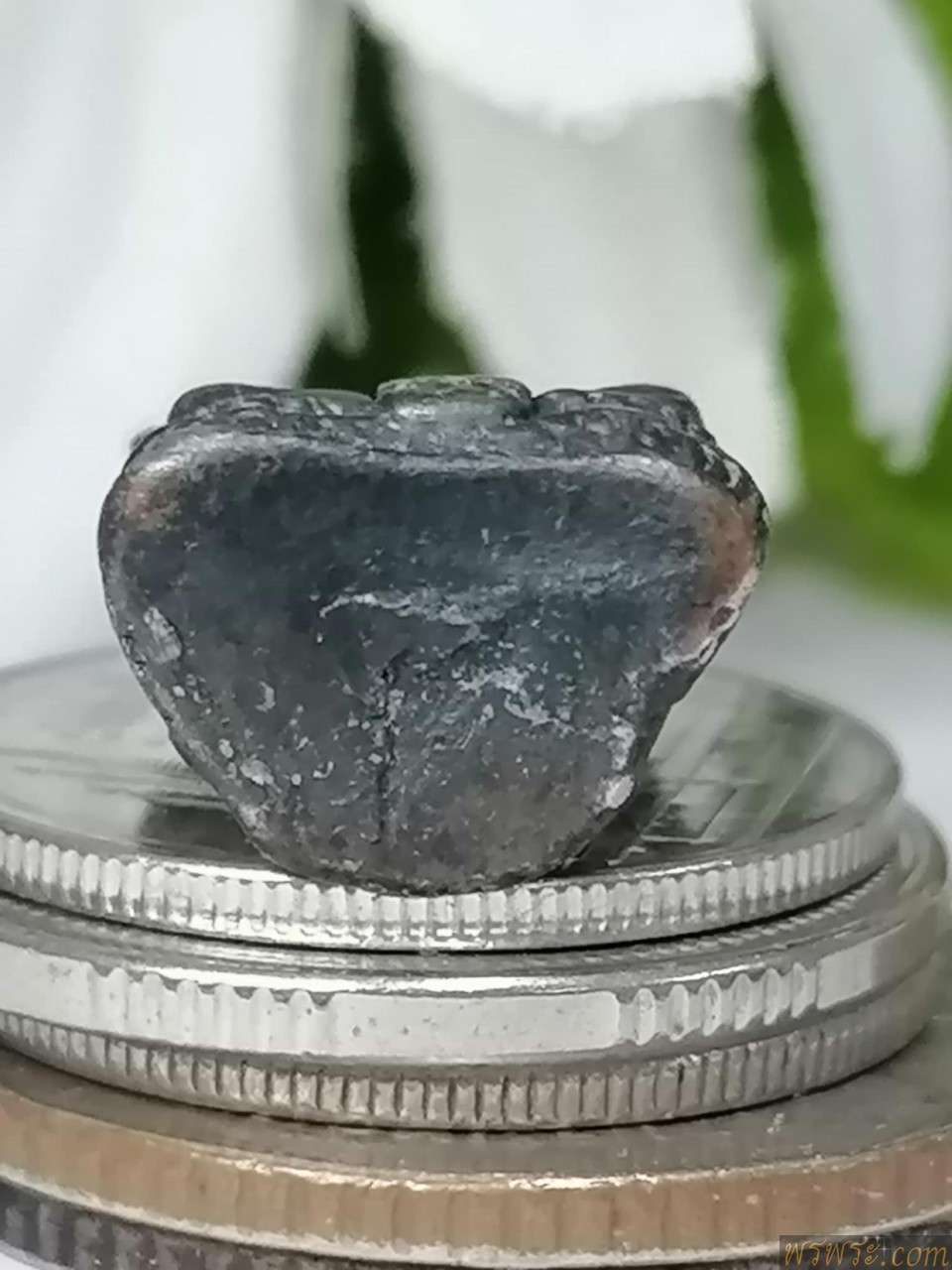 พระชัยวัฒน์ สมเด็จพุฒาจารย์ โต นาคปรก เนื้อชินตะกั่ว หล่อตัน ไม่ทราบที่ี