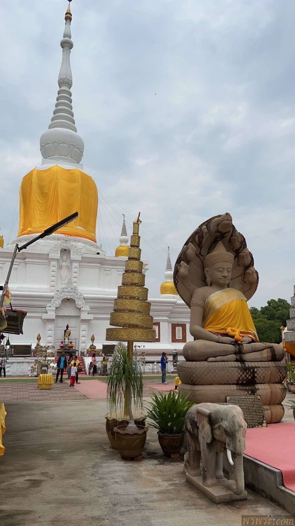 พระนาคปรก​ พระธาตุนาดูน​ ปี2566​ เข่ามาจากวัด11/04/2568